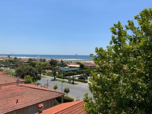 a view of a town with red roofs and the ocean at Hotel Naviglio in Marina di Pietrasanta