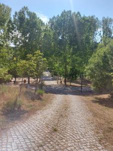 Foto dalla galleria di Bungalow Sobre Águas Camping a Bragança