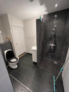 a bathroom with a shower and a toilet and a tub at Familiehuis Boysen Bed&Breakfast in Ribe