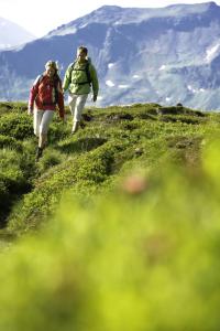 Hostia v ubytovaní Appartementhaus Gastein inklusive Alpentherme gratis
