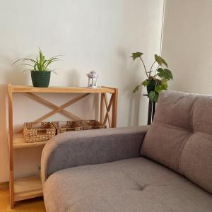 a living room with a couch and a table with potted plants at Zatyshok in Vinnytsya