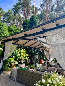 Ogród w obiekcie Villa Siesta