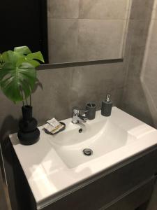 a bathroom sink with a potted plant on it at Le Quattro Porte in Marsala +64 photos