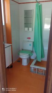 La salle de bains est pourvue de toilettes et d'un rideau de douche vert. dans l'établissement A cozy whole house near the airport and the beach, à Artemi
