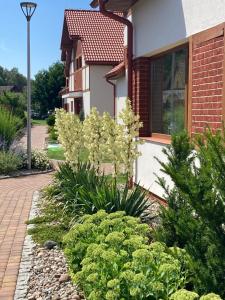 Ogród w obiekcie Apartament Łebska Ostoja