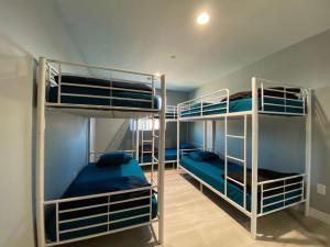 two bunk beds in a room with blue walls at Modern Hostel in Los Angeles