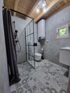 uma casa de banho com um chuveiro, um WC e um lavatório. em Domek Piamola Kąty Rybackie em Kąty Rybackie