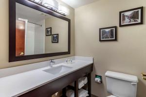 a bathroom with a sink and a toilet and a mirror at Comfort Suites near Robins Air Force Base in Warner Robins