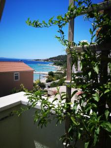 Príroda v okolí apartmánu