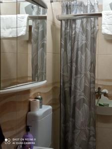 a bathroom with a toilet and a shower curtain at Sunce in Kostrena