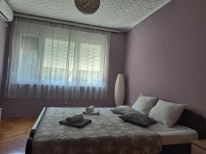 a bedroom with a bed and a window at Apartman Ana in Šabac