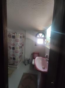 uma pequena casa de banho com um lavatório e uma janela em Olive tree house em Sozopoli