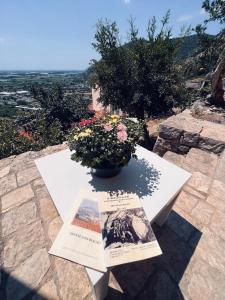 une table blanche avec une plante en pot sur elle dans l'établissement La bella vista, à Monte San Biagio