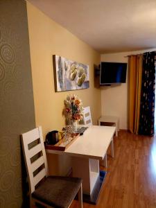 Televízia a/alebo spoločenská miestnosť v ubytovaní Hotel Olga