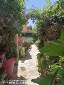 a garden with plants and a stone pathway at Lagoon Hause - Residenza Del Sole in Maddalenedda