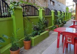 uma parede verde com uma mesa e plantas sobre ela em Kasenene Legacy Hotel em Fort Portal