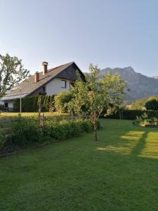 a house with a tree in the middle of a yard at Apartments Koblar in Kranjska Gora