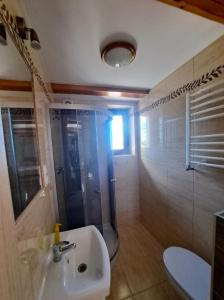 a bathroom with a shower and a sink and a toilet at Hybryda in Łeba