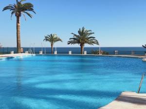 a large swimming pool with palm trees and the ocean at La Roca Chica in Torremolinos