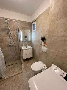a bathroom with a shower and a toilet and a sink at Central House in Oradea