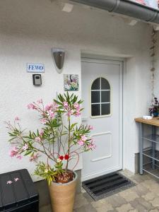 a front door of a house with a potted plant at Ott‘s FEWO in Gnevsdorf