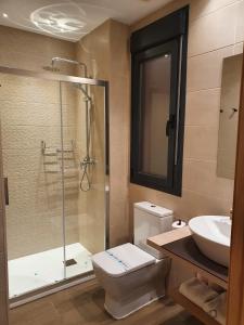uma casa de banho com um WC, um lavatório e um chuveiro em Apartamento Trinidad Grund em Ardales