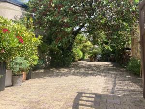 Zahrada ubytování Maisonnette studio Arcachon 300m plage