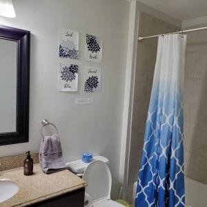 a bathroom with a shower curtain and a toilet at Private 1 BDR with Free Parking, Just 5 Minutes from Downtown in Indianapolis