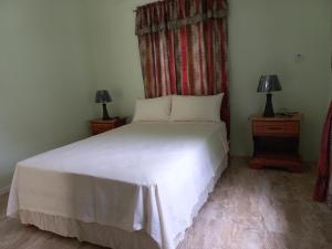 a bedroom with a large white bed with two lamps at Stoney Gate Cottages in Negril