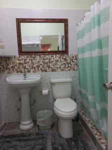a bathroom with a toilet and a sink and a mirror at Stoney Gate Cottages in Negril