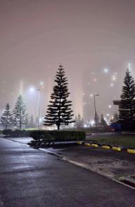 a foggy parking lot with pine trees in a parking lot at 2P Cool Home Tagaytay at SMDC Cool Suite Residences in Tagaytay