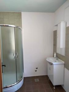 a bathroom with a shower and a sink at B&B "Retro Gusto " in Pićan