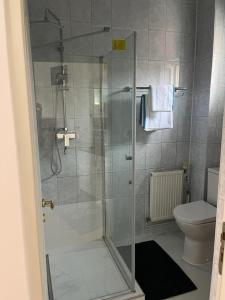 a bathroom with a shower and a toilet at Panorama Studio Sighisoara in Sighişoara