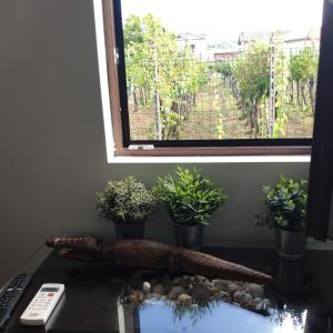 Fotografie z fotogalerie ubytování B&B La Casetta v destinaci Gattinara