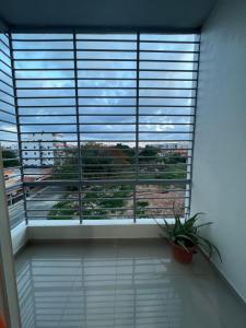 Habitación con ventana grande con planta en Luxury Apartment "Santo Domingo Este", en San Isidro