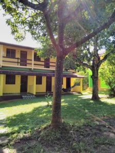 un bâtiment jaune avec deux arbres dans la cour dans l'établissement Pousada Abacateiro, à Vale do Capão
