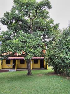 a yellow house with a tree in the yard at Pousada Abacateiro in Vale do Capao