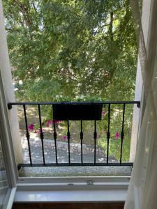 a window with a view of a garden at Marko&Luka in Sinj