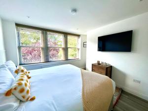 TV a/nebo společenská místnost v ubytování Mode Apartments St Annes