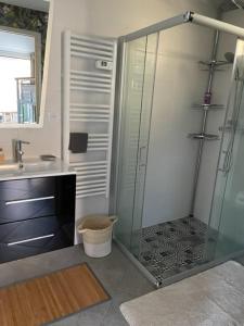 La salle de bains est pourvue d'une douche en verre et d'un lavabo. dans l'établissement Charmant Studio pouvant accueillir 4 personnes, à Anglet