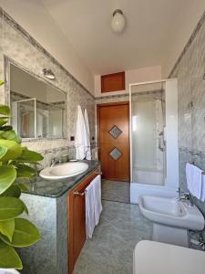 y baño con lavabo y ducha. en Domus Arianna, en Castellammare di Stabia