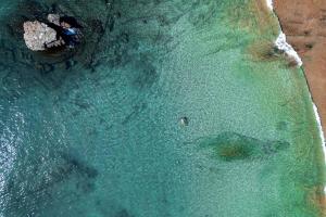 a person standing in the water near the beach at Villa Noelia by Embera Collection in Saboga