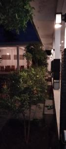 a row of trees in a room with lights at Akalanka Homestay in Gili Trawangan