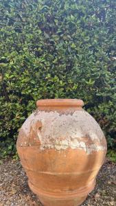 a large vase sitting in front of a bush at la limonaia in Florence
