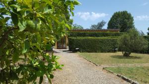 a garden with a hedge and a pathway at la limonaia in Florence