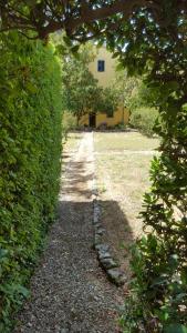 a path through a hedge with a house in the background at la limonaia in Florence