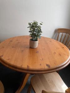 a wooden table with a potted plant on it at Cozy 3 Bedrooms Home off Mill Road Sleep up to 6 in Cambridge
