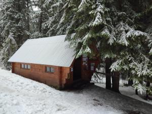 eine Hütte im Schnee mit schneebedeckten Bäumen in der Unterkunft Woodland house in Sîntimbru-Băi