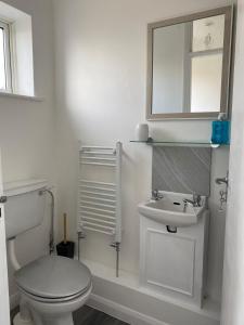 a bathroom with a toilet and a sink and a mirror at Four Seasons by the Sea in Peacehaven