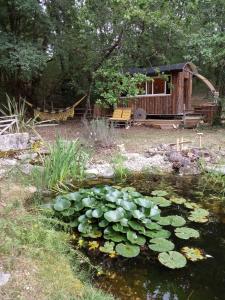 einen Teich mit Seerosenblättern vor einem Haus in der Unterkunft Echappée sauvage in Masquières